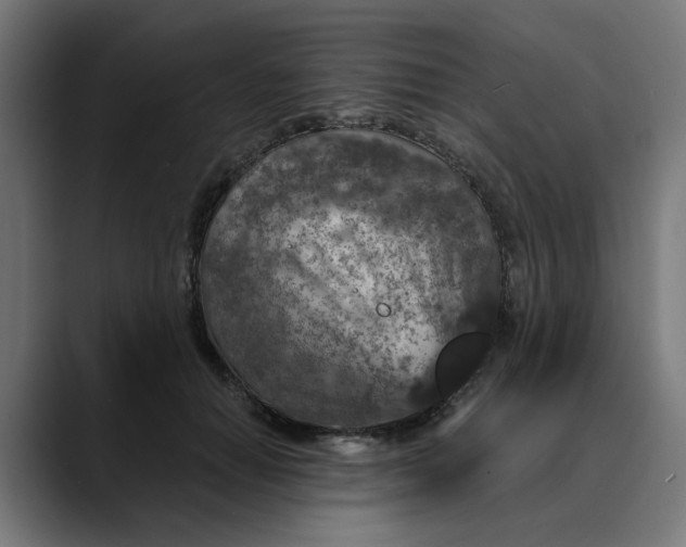 X0000089700654200707121355