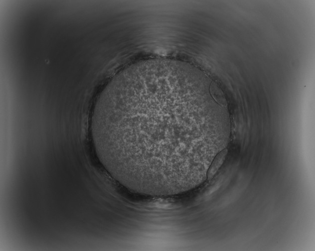 X0000089700656200707121355