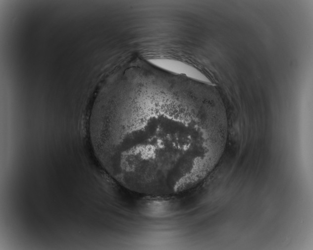 X0000089700658200707121355