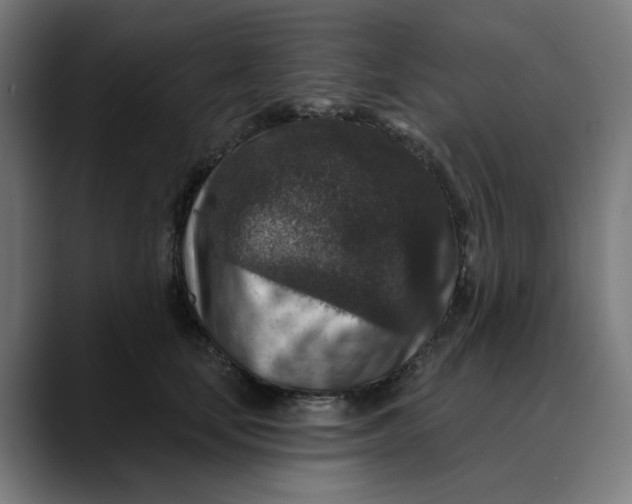 X0000089700659200707121355