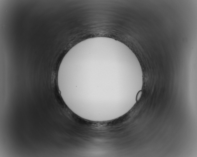 X0000089700660200707121355