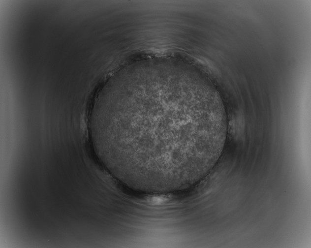 X0000089700662200707121355