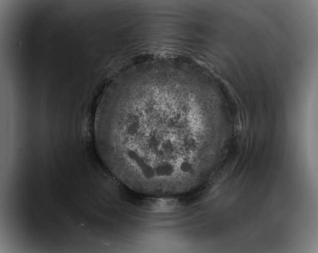 X0000089700663200707121355