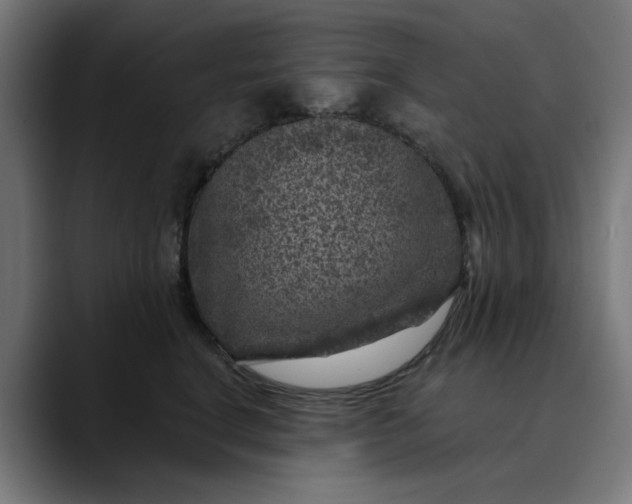 X0000089700664200707121355