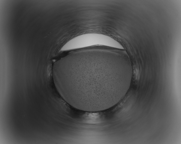 X0000089700665200707121355