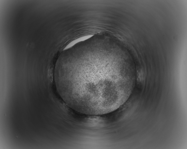 X0000089700666200707121355