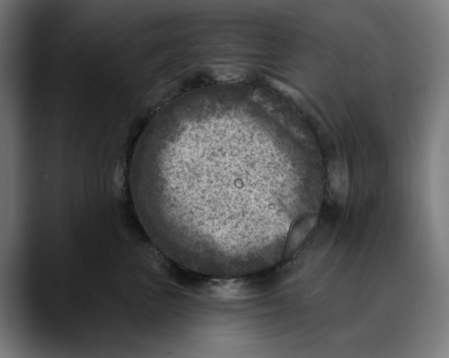 X0000089700667200707121355