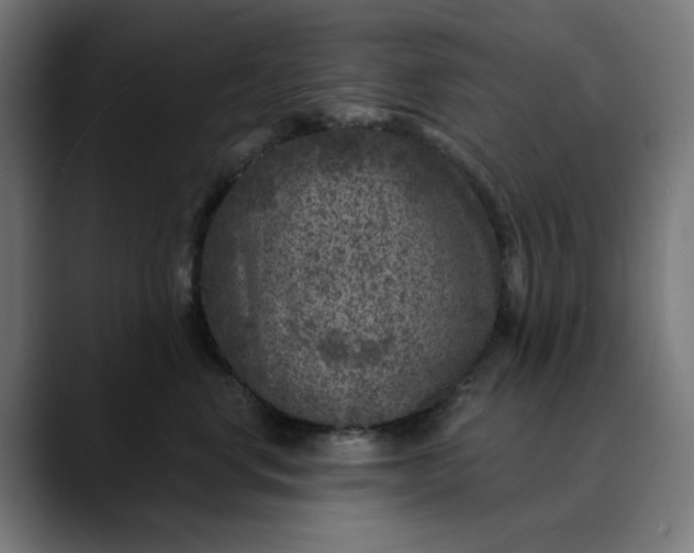 X0000089700668200707121355