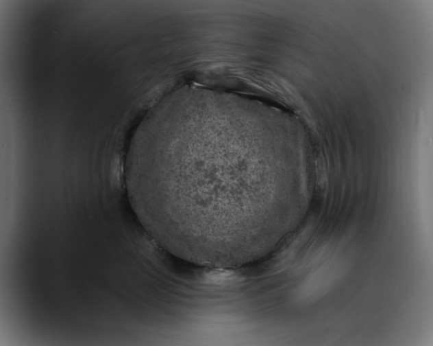 X0000089700669200707121355