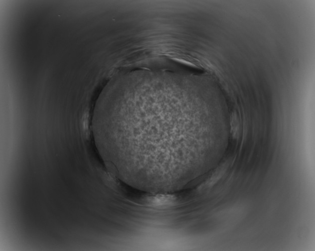 X0000089700670200707121355