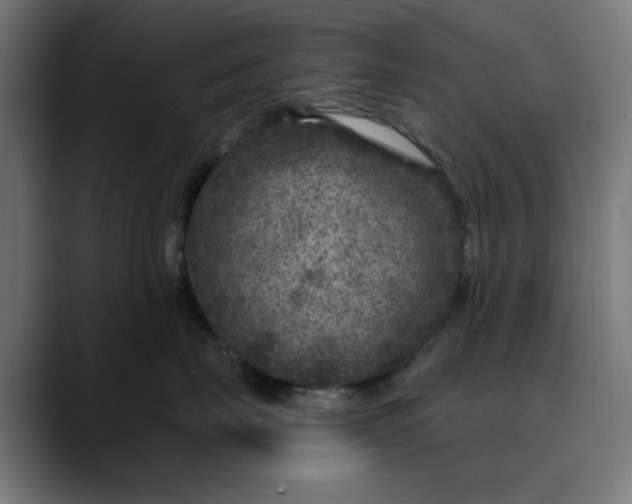 X0000089700671200707121355