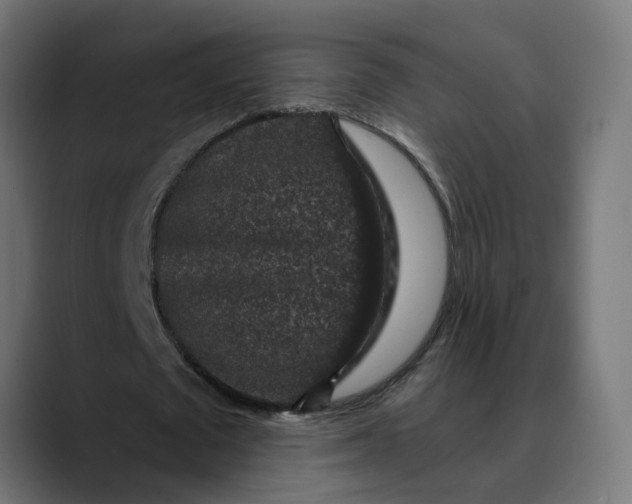 X0000089700673200707121354