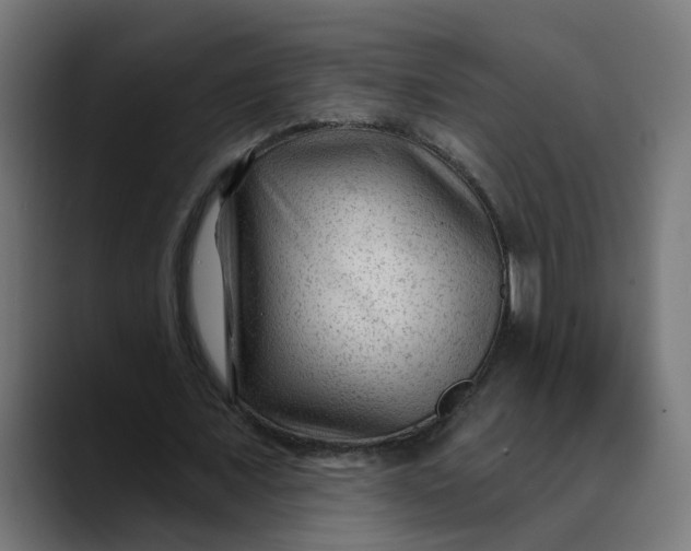 X0000089700675200707121354