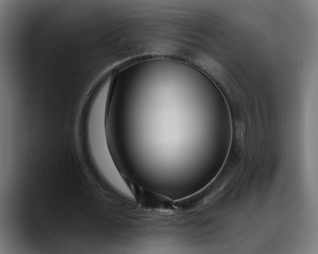 X0000089700676200707121354