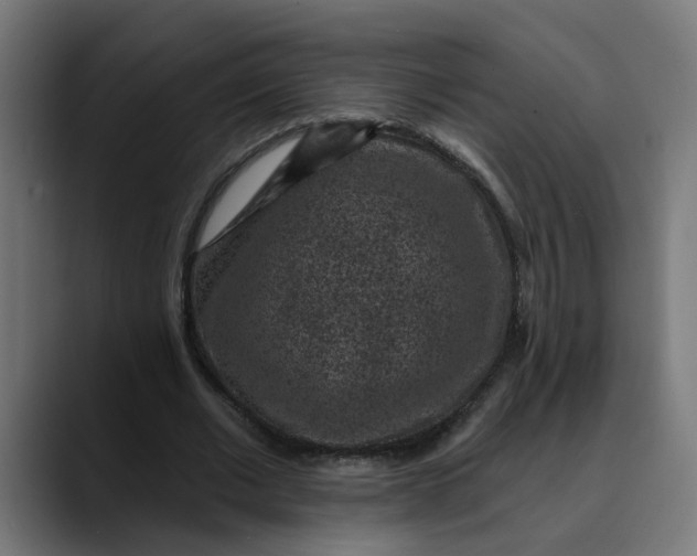 X0000089700677200707121354