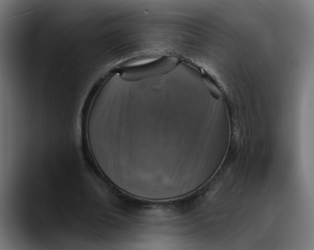 X0000089700678200707121354