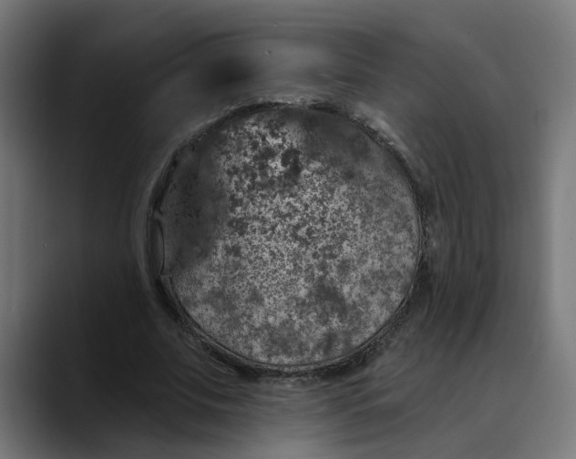 X0000089700679200707121354