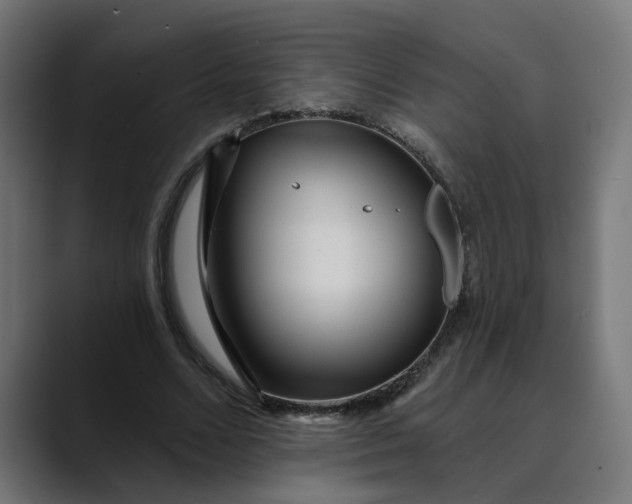 X0000089700680200707121354