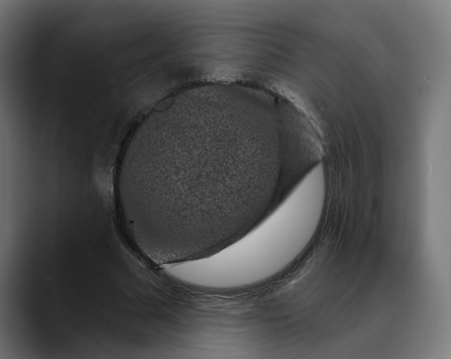 X0000089700681200707121354