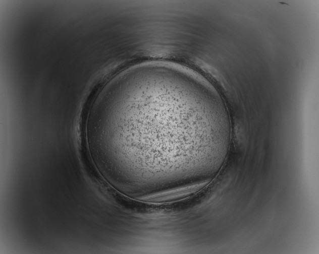 X0000089700682200707121354