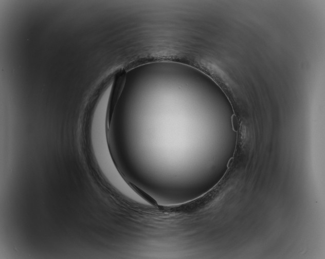 X0000089700684200707121354