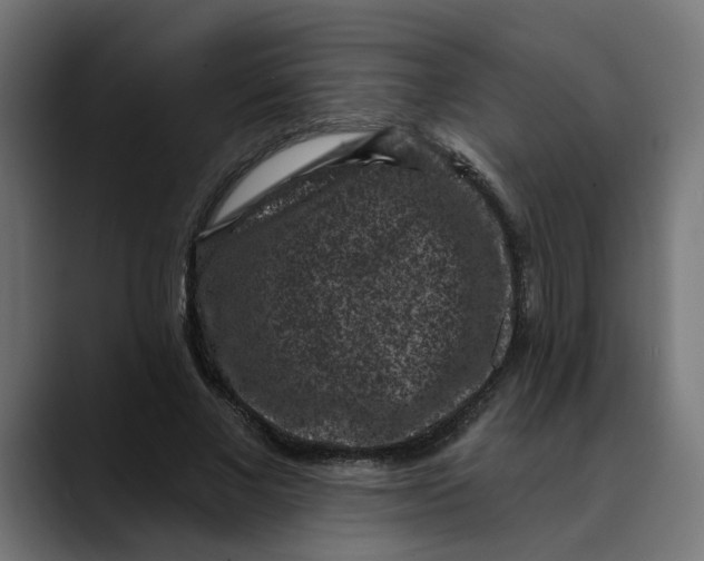 X0000089700685200707121354