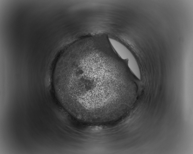 X0000089700687200707121354