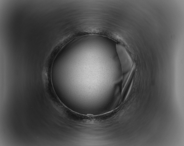 X0000089700688200707121354