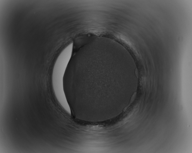 X0000089700689200707121354