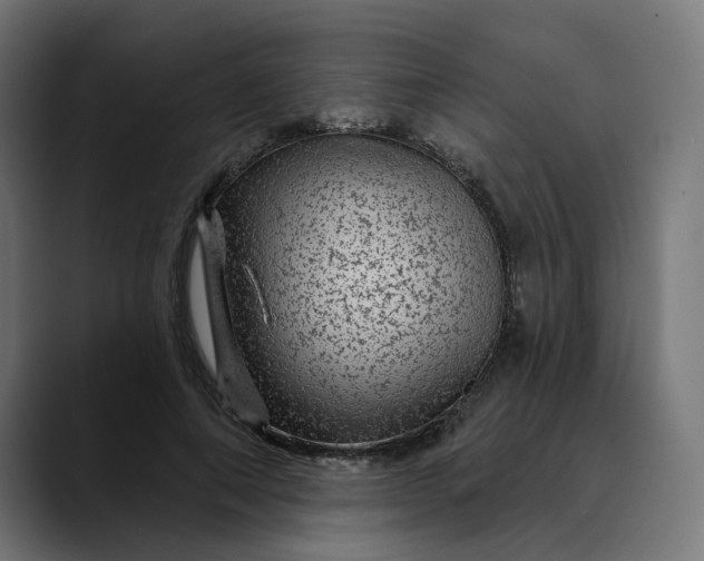 X0000089700690200707121354