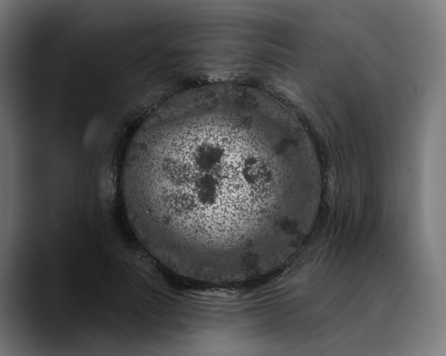 X0000089700691200707121354