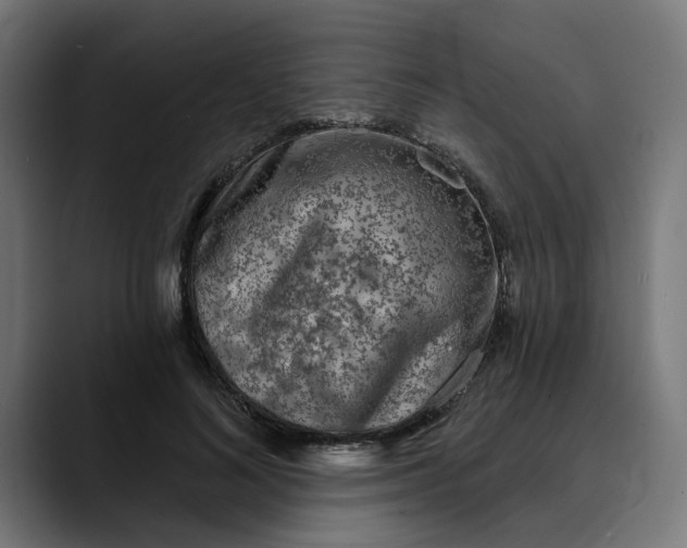 X0000089700692200707121354