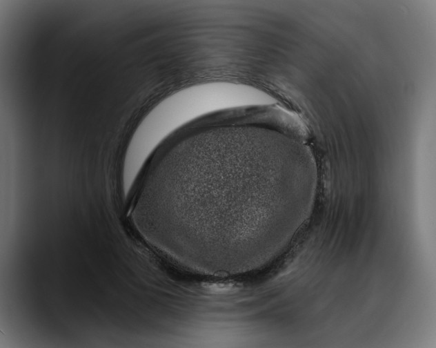 X0000089700693200707121354