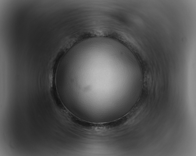 X0000089700694200707121354