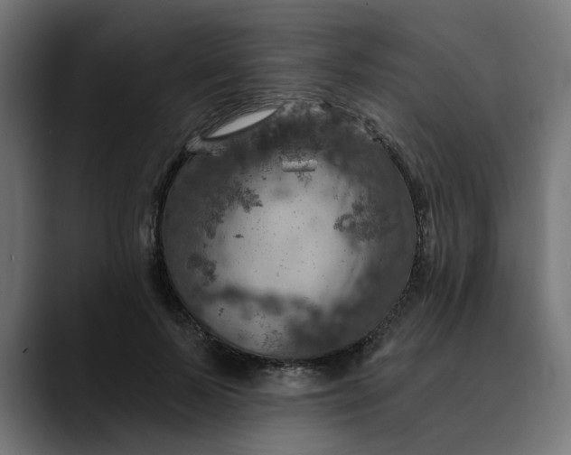 X0000089700695200707121354