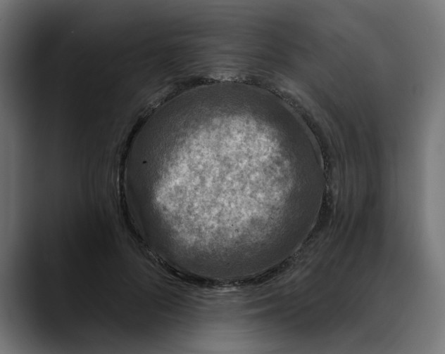 X0000089700696200707121354