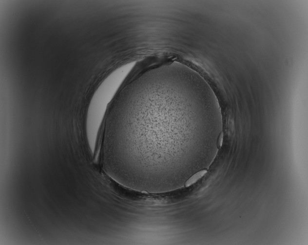 X0000089700697200707121354