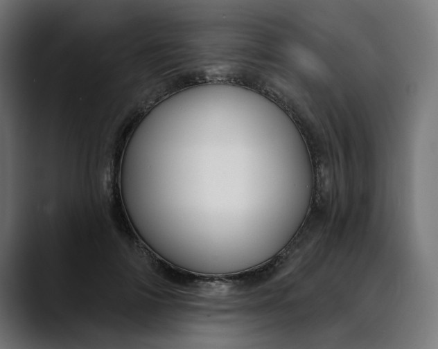 X0000089700698200707121354