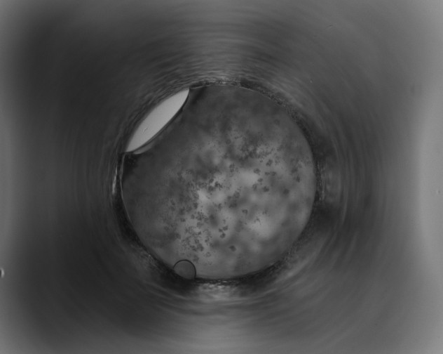 X0000089700699200707121354