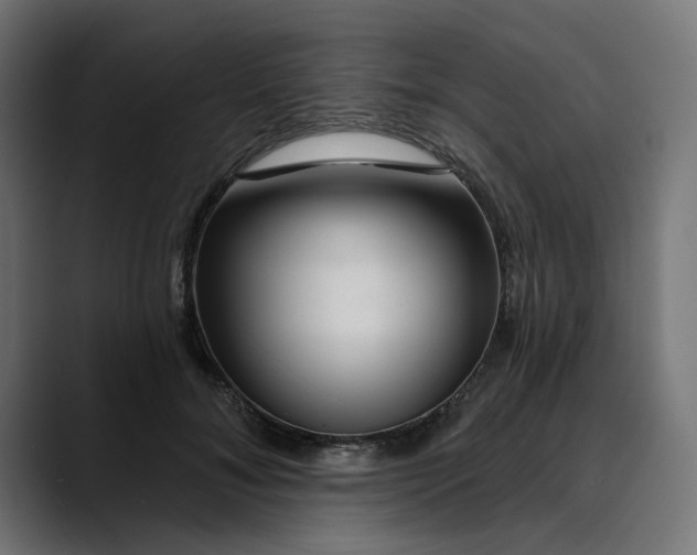 X0000089700700200707121354