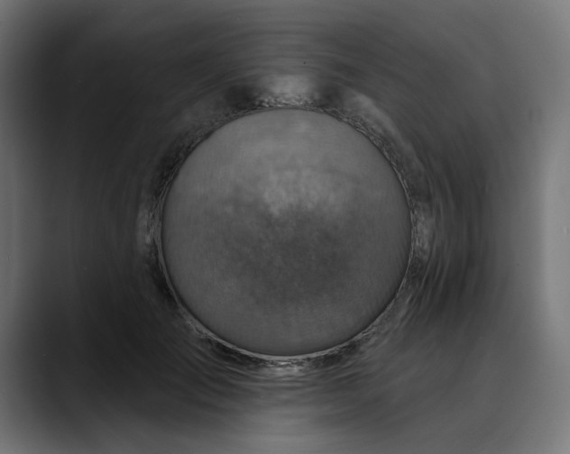 X0000089700701200707121354