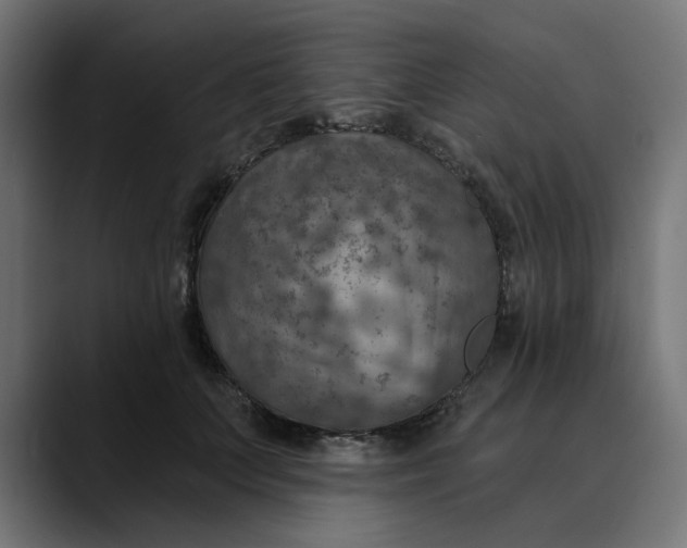 X0000089700703200707121354