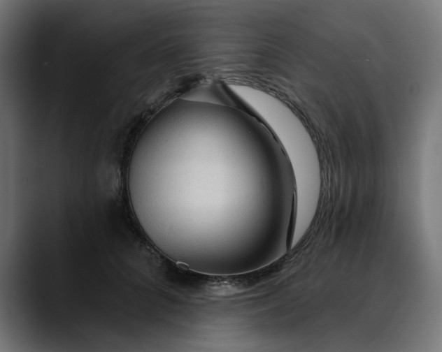 X0000089700704200707121354