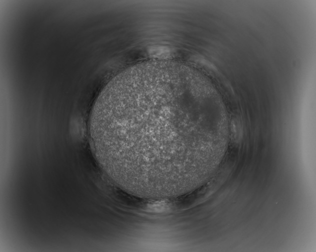 X0000089700705200707121354