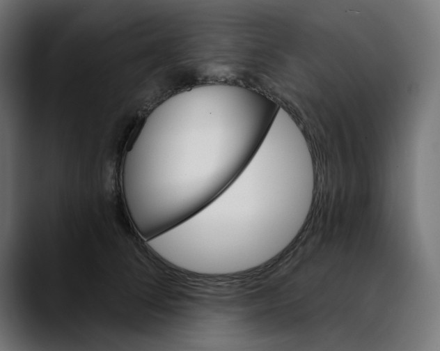 X0000089700708200707121354