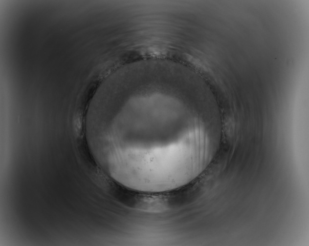 X0000089700709200707121354