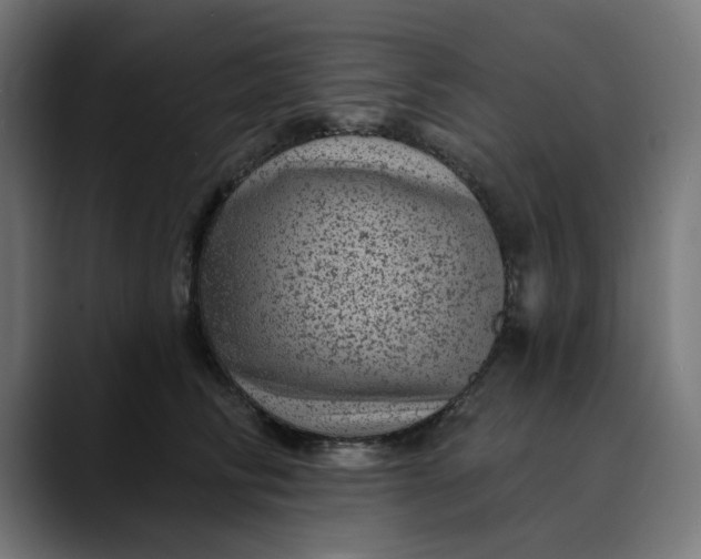 X0000089700710200707121354