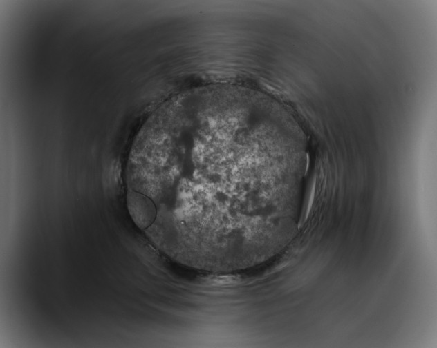 X0000089700711200707121354