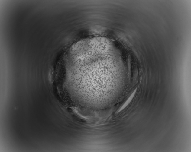 X0000089700712200707121354