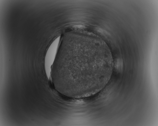 X0000089700715200707121354